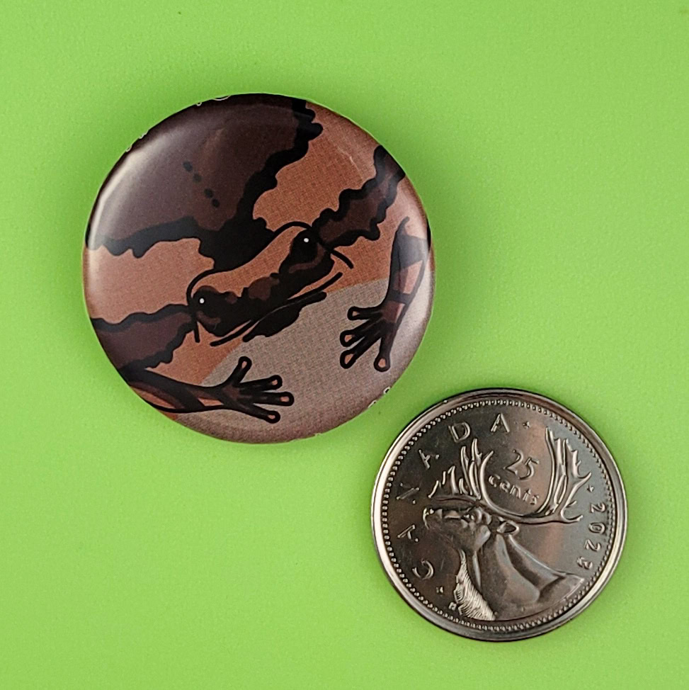 "Asian Painted Frog" Pin